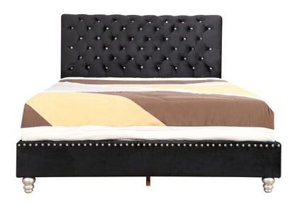 Elegant Transitional Upholstered Bed