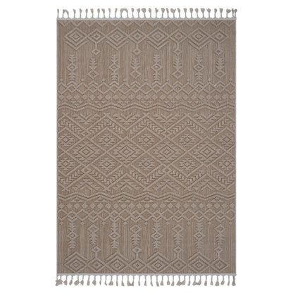 Traditional Indoor / Outdoor Area Rug