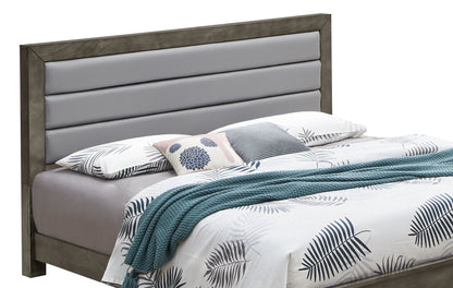 Transitional Modern Design Bed