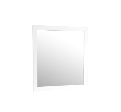 Modern Design Transitional Wall Mirror