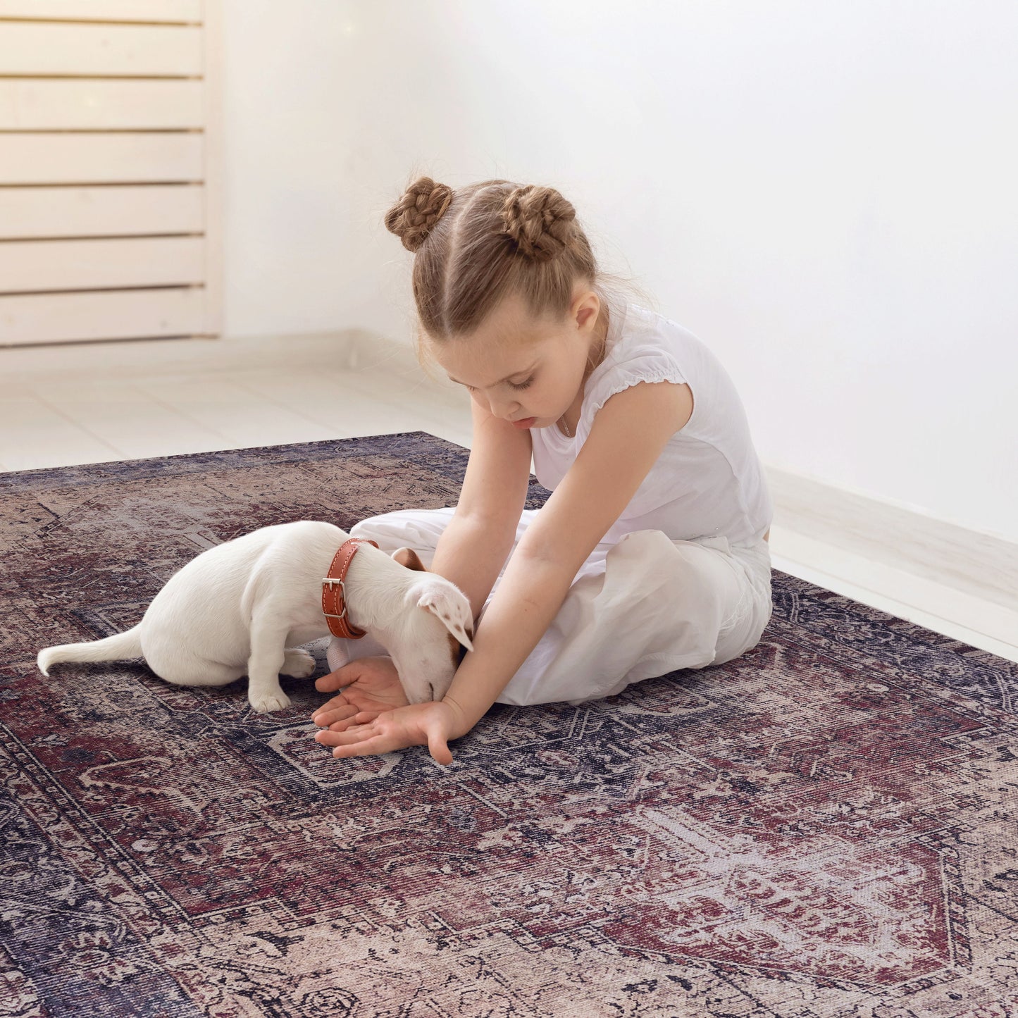 Washable Area Rugs, Low-Pile, Non-Slip, Non-Shedding, Foldable, Kid & Pet Friendly Area Rugs