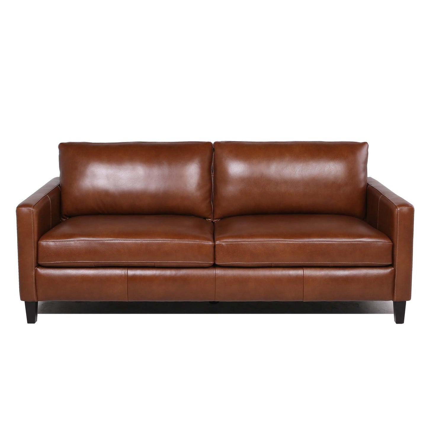 Modern & Contemporary Leather Sofa