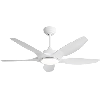 Indoor Ceiling Fan With 5 ABS Blades Remote Control Reversible Dc Motor For Living Room