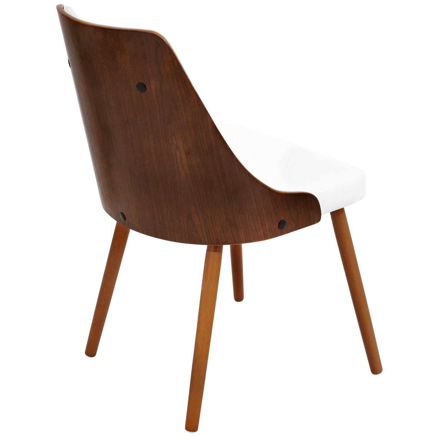 Gianna - Contemporary Dinning Chair