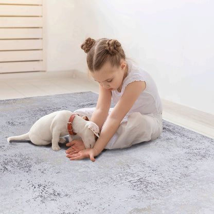 2'6'' X 10' Area Rugs, Washable, Low-Pile, Non-Slip, Non-Shedding, Foldable, Kid & Pet Friendly - Gray / Gold